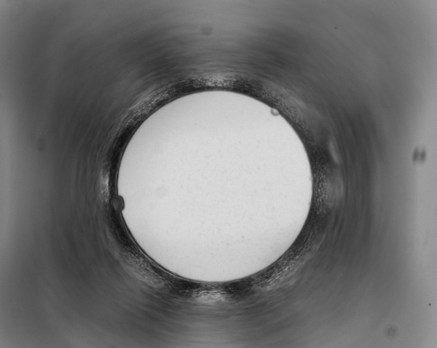 X0000098020262200804251144