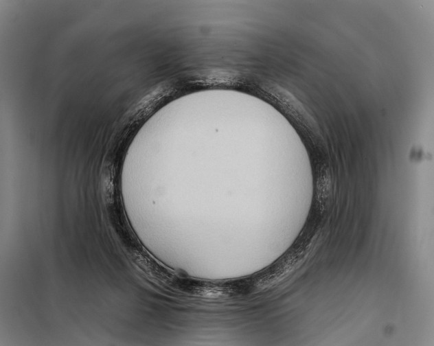 X0000098020264200804251144
