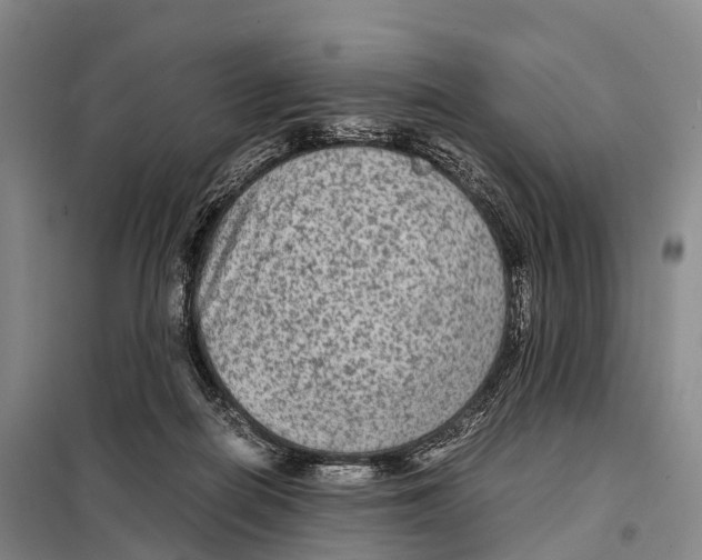X0000098020266200804251144