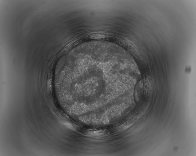 X0000098020267200804251144