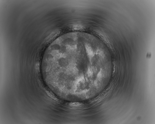 X0000098020269200804251144