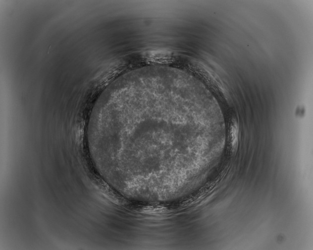 X0000098020271200804251144