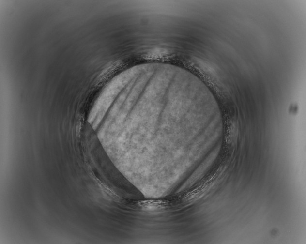 X0000098020273200804251144