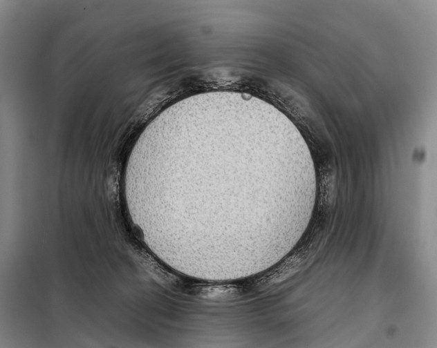 X0000098020274200804251144