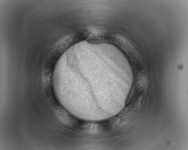 X0000098020276200804251144