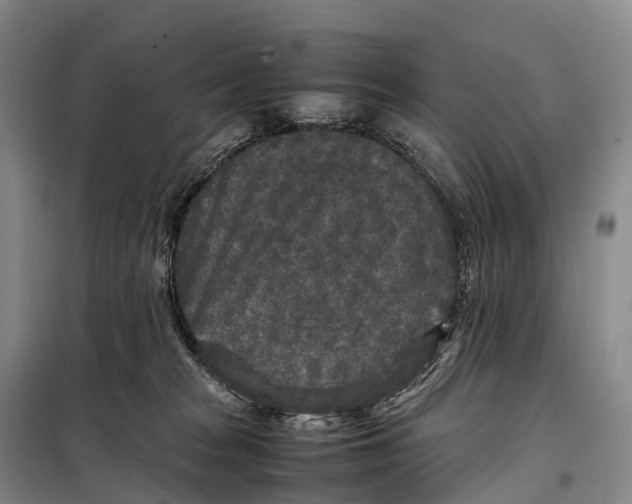 X0000098020277200804251144
