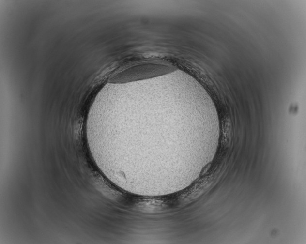 X0000098020278200804251144