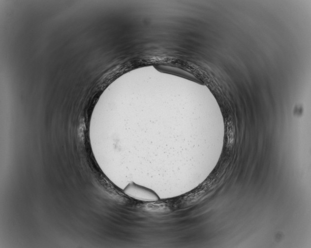 X0000098020279200804251144