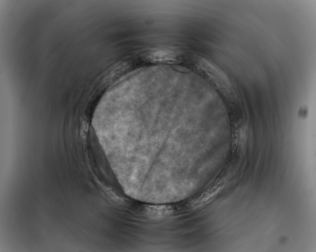 X0000098020281200804251144