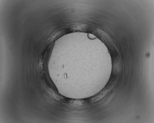X0000098020282200804251144
