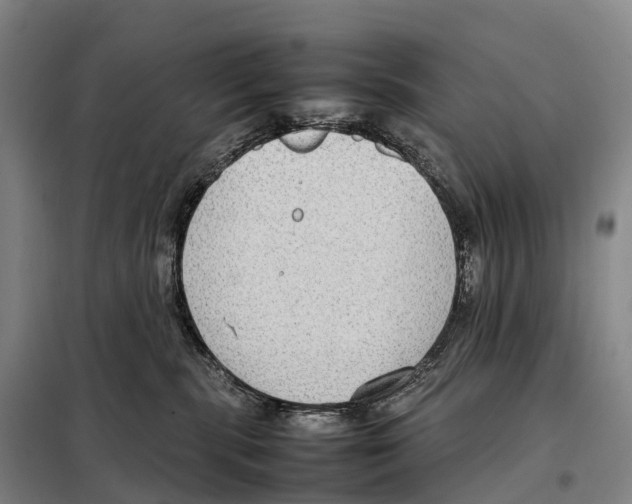 X0000098020283200804251144