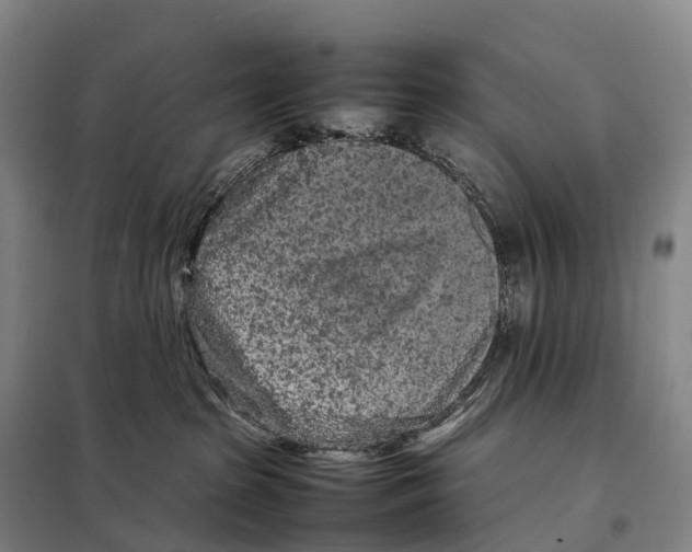 X0000098020285200804251144