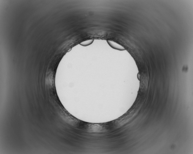 X0000098020287200804251144