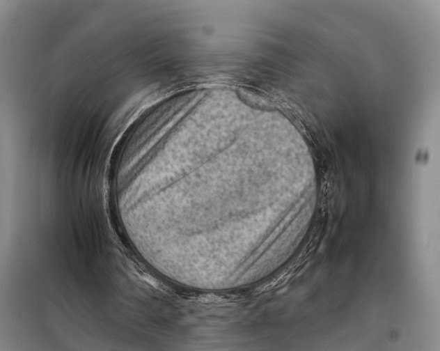 X0000098020290200804251144