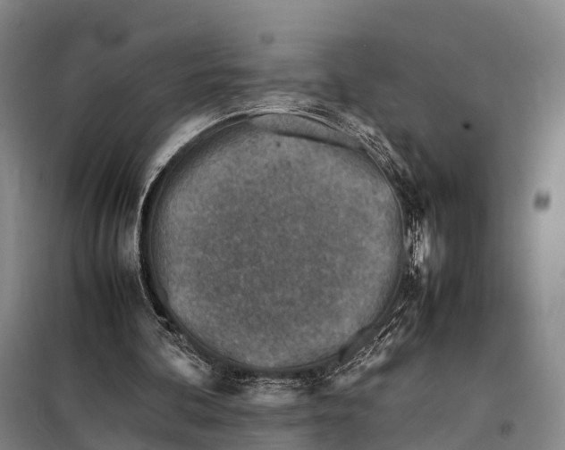 X0000098020292200804251144