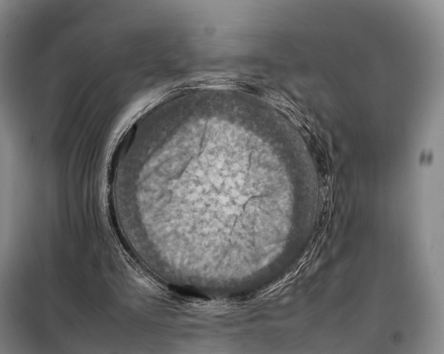 X0000098020293200804251144