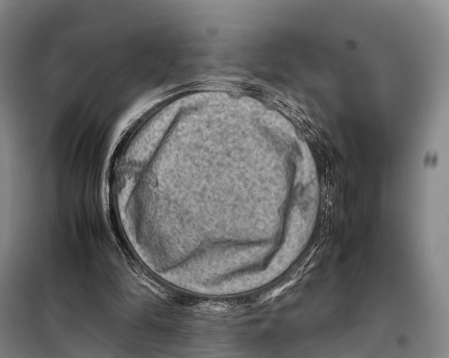 X0000098020294200804251144