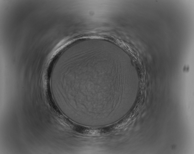 X0000098020295200804251144