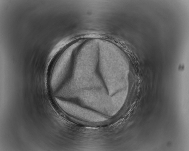 X0000098020296200804251144