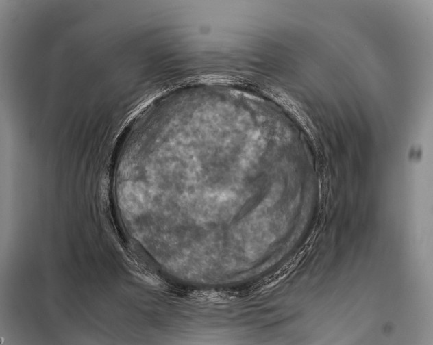 X0000098020297200804251143