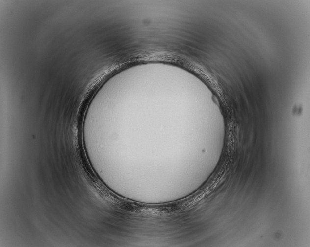 X0000098020298200804251143