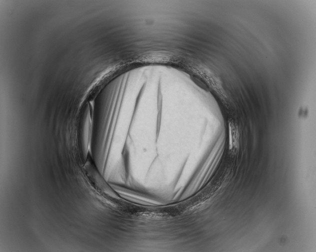 X0000098020300200804251143