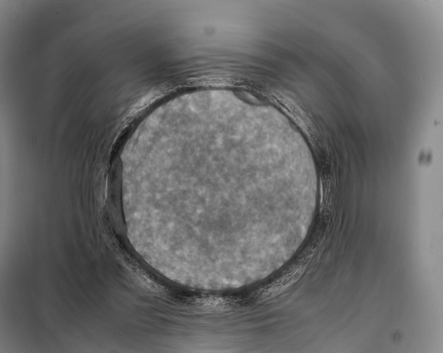 X0000098020301200804251143