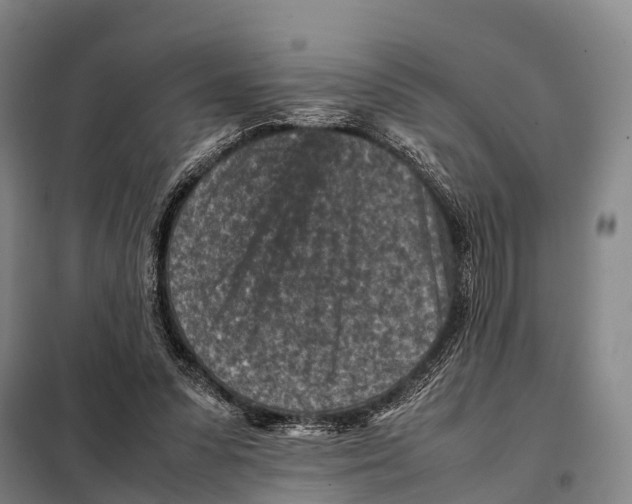 X0000098020303200804251143