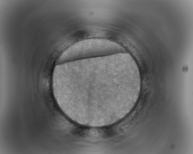 X0000098020305200804251143