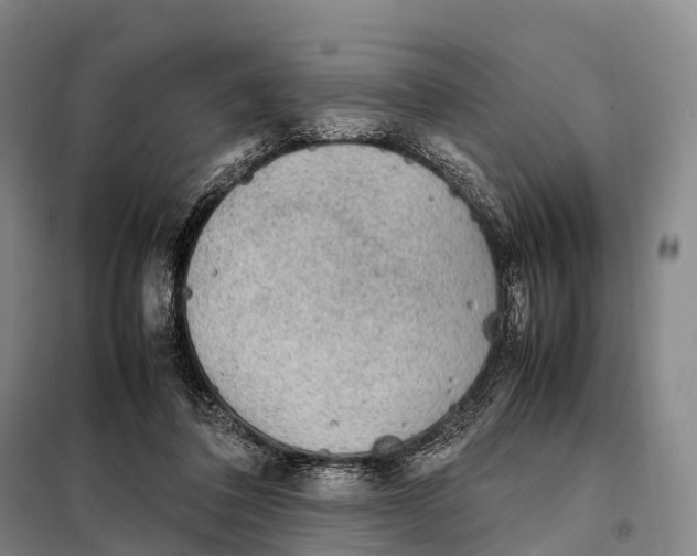 X0000098020308200804251143