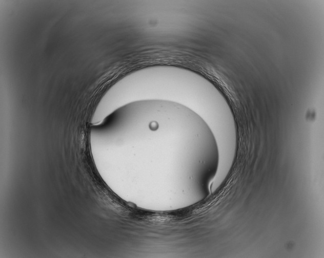 X0000098020313200804251143