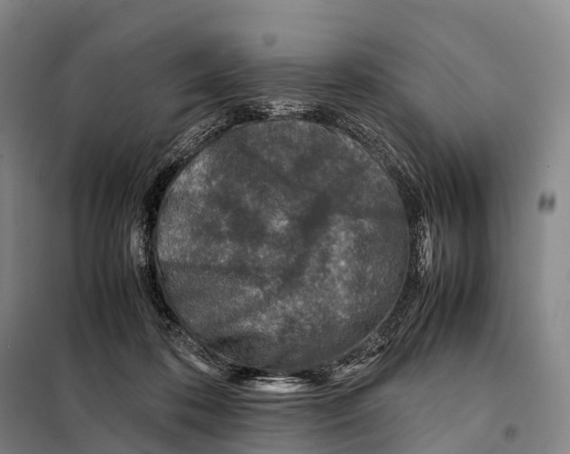 X0000098020316200804251143