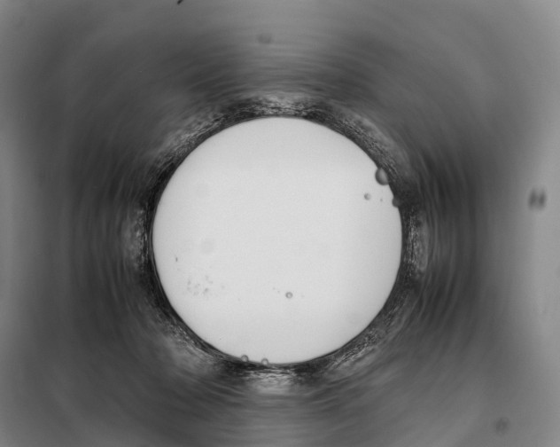 X0000098020318200804251143