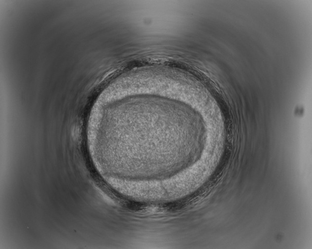 X0000098020319200804251143