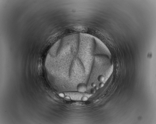 X0000098020320200804251143