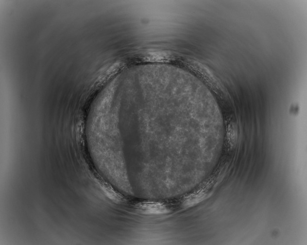 X0000098020322200804251143