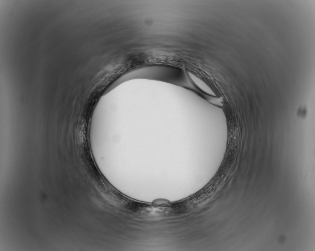 X0000098020323200804251143