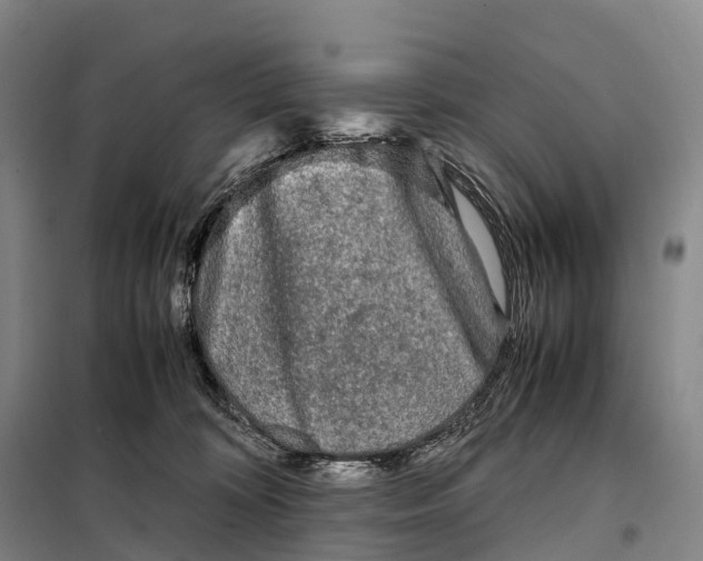X0000098020324200804251143