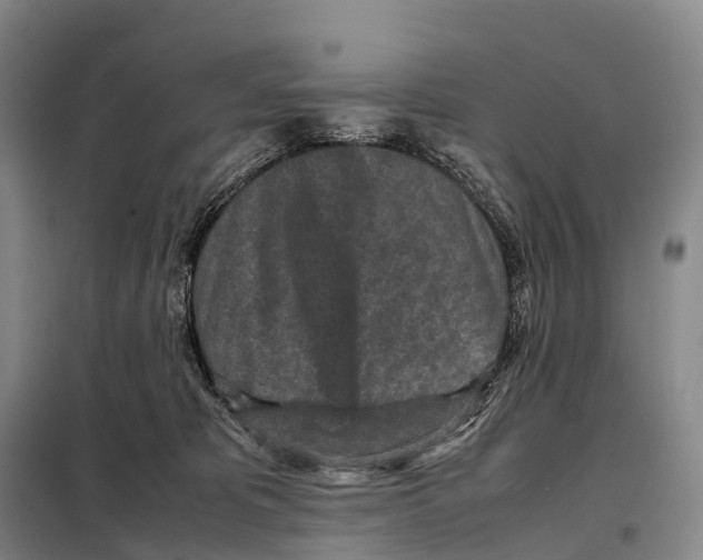 X0000098020325200804251143