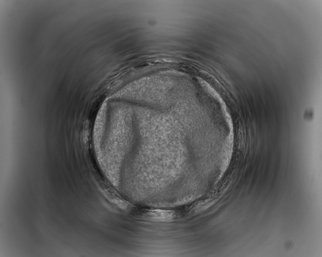 X0000098020328200804251143
