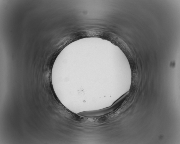 X0000098020329200804251143