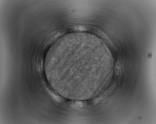 X0000098020330200804251143