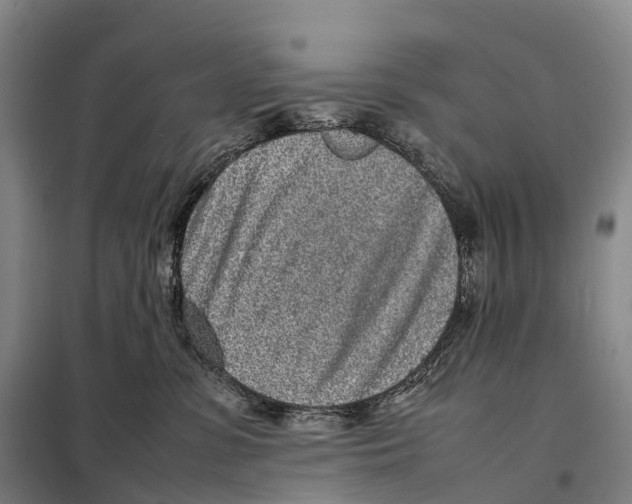 X0000098020331200804251143