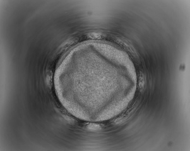 X0000098020332200804251143