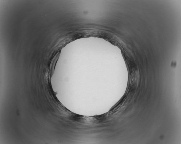 X0000098020333200804251143