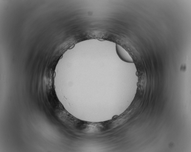 X0000098020334200804251143