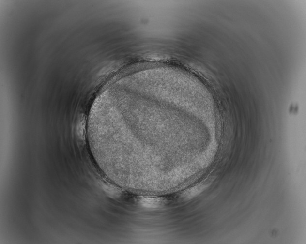 X0000098020336200804251143