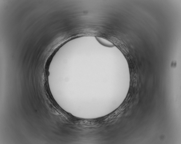 X0000098020338200804251142