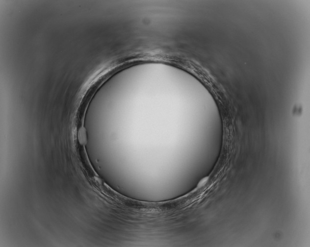 X0000098020344200804251142