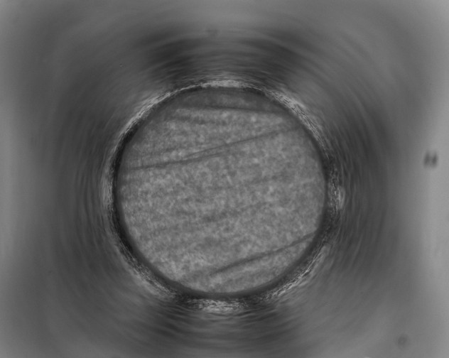 X0000098020347200804251142